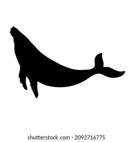 Whale Silhouette On White Background Whale Stock Illustration ...