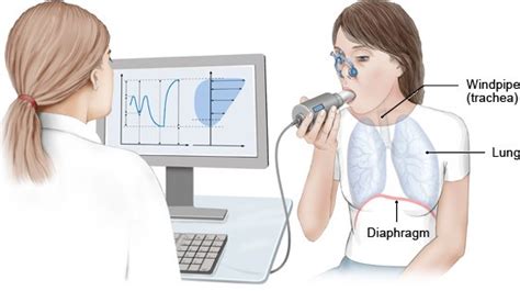 Spirometer Test