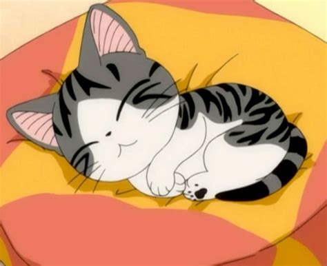 World of Chi | Cat drawing, Anime cat, Chi's sweet home