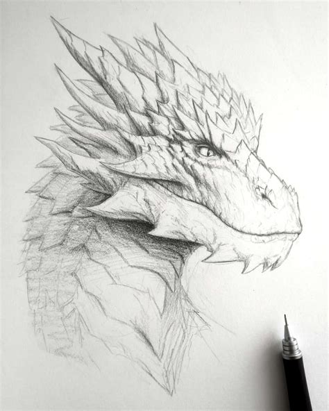 Download Dragon Face Sketch Pictures | Wallpapers.com