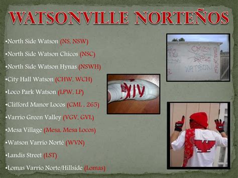 PPT - In South County (Watsonville) the Norteño gang members o ut-number the PowerPoint ...