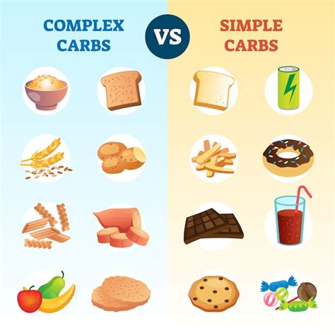 Premium Vector | Complex carbs and simple carbohydrates comparison and explanation diagram ...