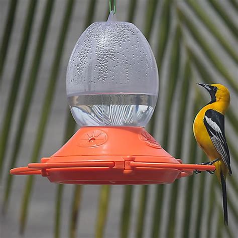 Orange Oriole Nectar Feeder 32 oz.