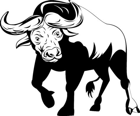 African buffalo Stock illustration Royalty-free Clip art - Jane cattle ...