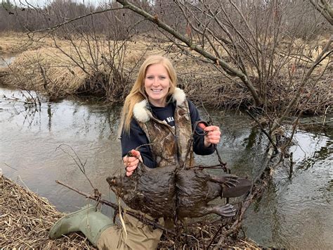 Beaver Trapping: How to Get Started | Outdoor Life