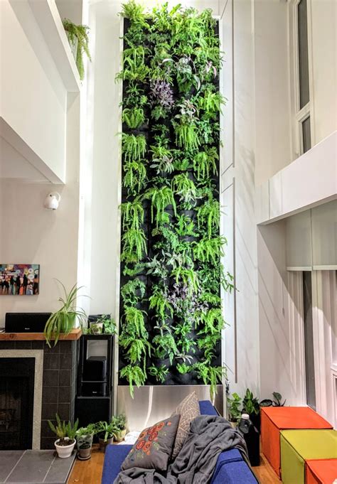 Interior Plant Design Style by Living Walls Edmonton – Plants On Walls