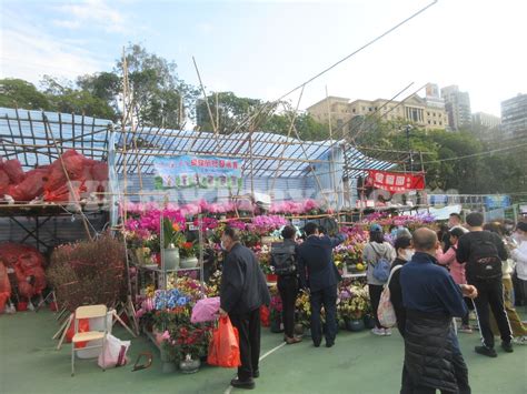 Lunar New Year Fair 2023 @ Victoria Park Hong Kong Travel Related Information - Transportation ...