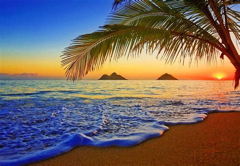 Hawaii sunrise, exotic, hawaii, ocean, bonito, waves, sky, palms, sea, beach, HD wallpaper | Peakpx