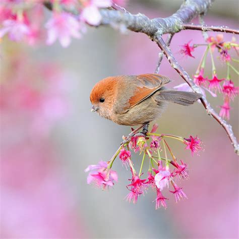 Simply Katie: Sunshine, tea and chirping birds