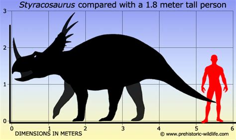 Styracosaurus Size | Frontier Forums