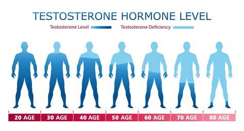 What Age Does Men's Testosterone Drop Store | centralcountiesservices.org