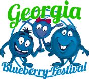 2019 Georgia Blueberry Festival - Alma, GA