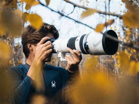 Telephoto and super-telephoto lens tips - Photo Review