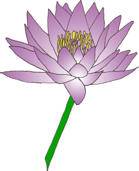 Flower lily water clipart 20 free Cliparts | Download images on Clipground 2024