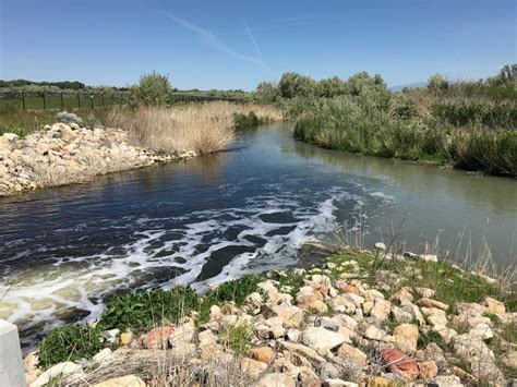 Where the Jordan River’s water comes from | UNews