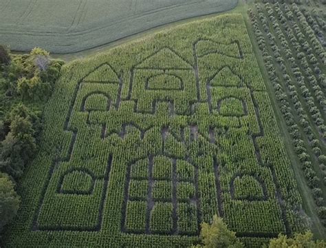 Wynn Farms announces royal fairytale theme for 2023 corn maze