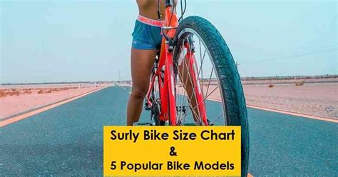 Surly Bike Size Chart & 5 Popular Bike Models