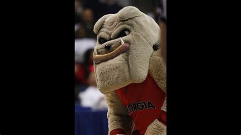 Georgia Bulldogs mascot Hairy Dawg at a UGA basketball game. | Georgia ...