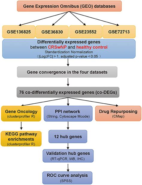 Frontiers | Transcriptomic Signatures and Functional Network Analysis of Chronic Rhinosinusitis ...