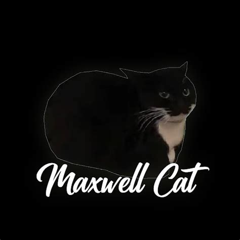 Maxwell Cat (Remix) - YouTube Music