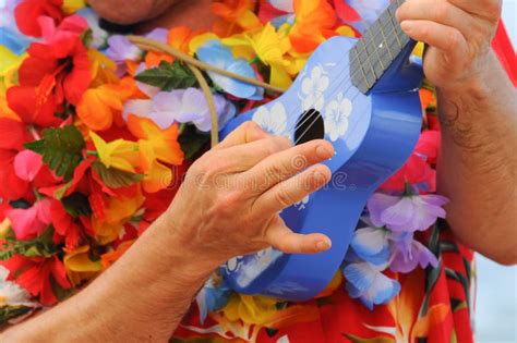 Blue Ukulele in Hawaii stock image. Image of tourism - 116653257