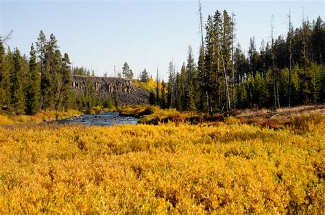 Yellowstone -1212 | Fall colors in Yellowstone | Michael McCarthy | Flickr