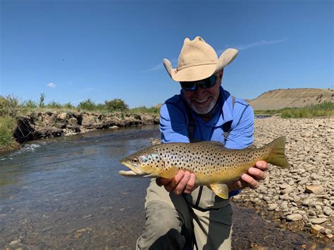 South Platte River Fishing Report // Fall Update - Colorado Trout Hunters