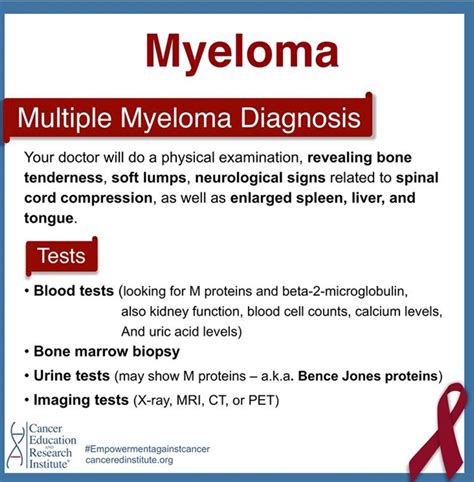 Multiple Myeloma, Spinal Cord, Blood Test, Blood Cells, Liver, Diagnosis, Physics, Reveal, Physique