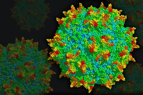 Synthetic Adeno-Associated Virus (AAV) Capsids for Advanced Gene Therapy