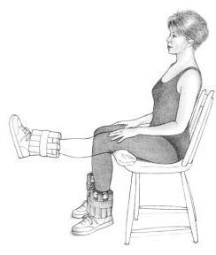 Exercise 3: Knee Extension » Arthritis, Exercise, & Active Living: The ENACT Center | Boston ...