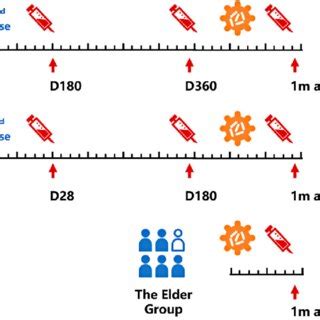 Study design and sample collection. | Download Scientific Diagram