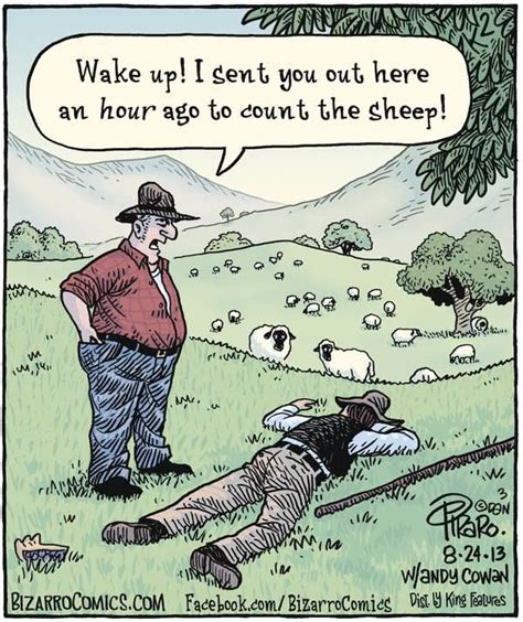 count sheep zzzzz | Cartoon jokes, Bizarro comic, Dad jokes funny