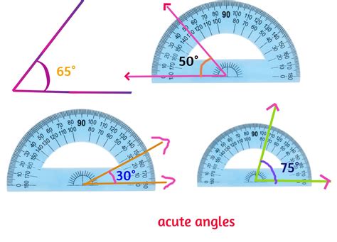 Acute Angle - Definition with Examples – Toppers Bulletin