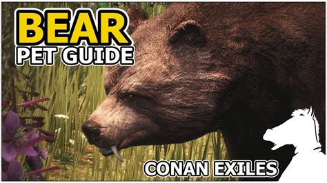 BEAR | Pets Guide | CONAN EXILES - YouTube