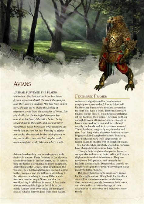 Dungeons And Dragons 5e Homebrew Races - orderphire