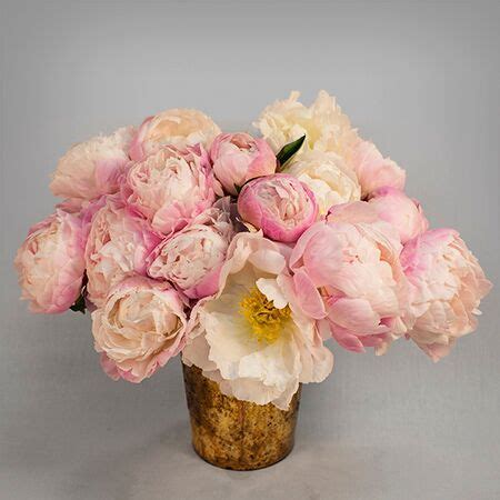 Blush Watercolor Peonies | French Styled Peony Arrangement