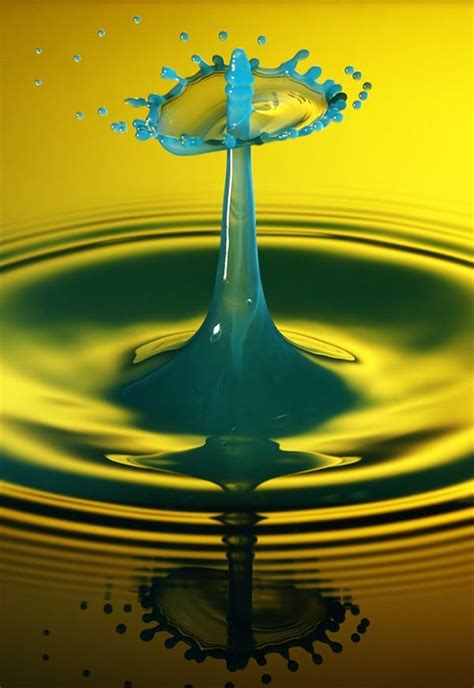 Water Drop Photography - Photography | Free & Premium Templates