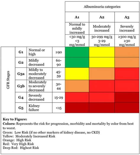 Kidney Disease: What Your Doctor Won't Tell You Until "Stage 3" – Diabetes Daily