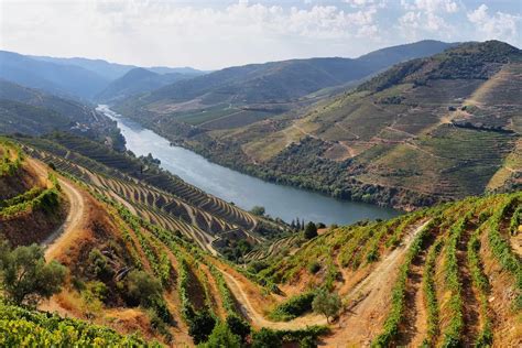 Best Douro Valley Wine Tour 2023