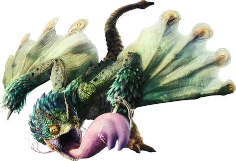 What's the difference between "bird wyverns" and "flying wyverns ...