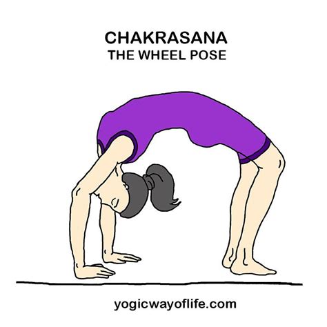 Chakrasana (Wheel Pose) - Yoga Asana for Fitness of Back and Spine ...