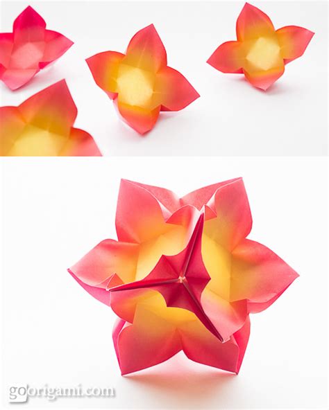 Kusudama Origami — Gallery - Go Origami