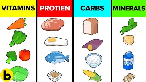 🥑How The Six Basic Nutrients Affect Your Body🍍 - Fitness Fervor