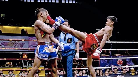 Muay-Thai-front-Kick-Teep | MMA Active