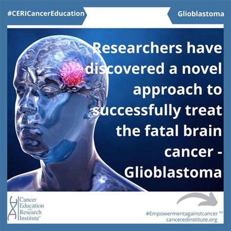 New Research Glioblastoma Treatment - Cancer Education and Research ...