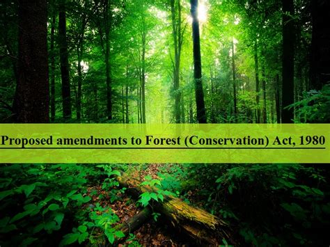 Explained: What is a forest and why is the government amending the ...