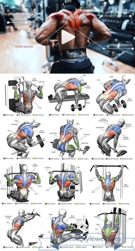 e1d5be1c7f2f456670de3d53c7b54f4a | Shoulder workout, Back workout, Weight training workouts