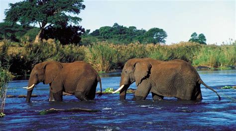 Things to Do in Limpopo in 2024 | Expedia