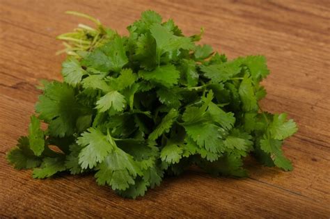 Premium Photo | Coriander leaves