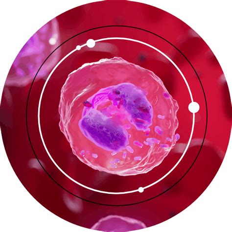 What is Severe Asthma? | NUCALA (mepolizumab)